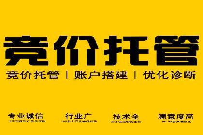 案例分析：SEM推广代运营效果